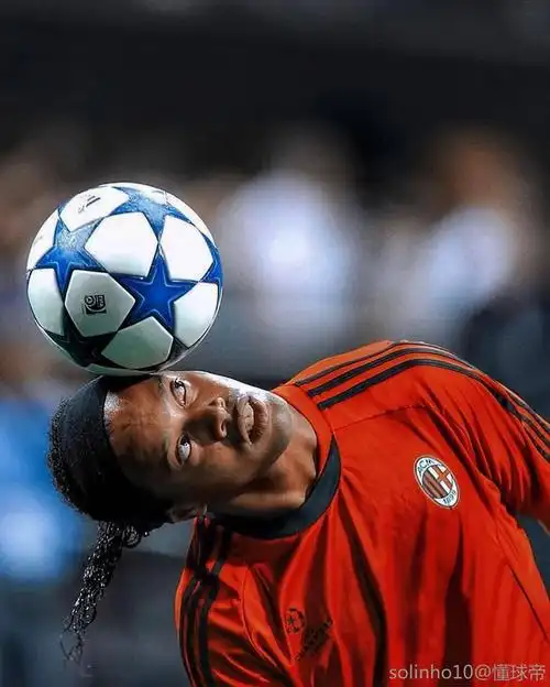 众多球迷的 众多球迷的